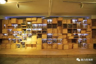 搶 雙十一 規(guī)模全國前三 西海岸本土紫斐藍(lán)莓酒不減價(jià)不狂歡 壕氣送送送