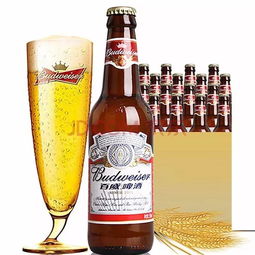 假啤酒一眼看穿 百威 青島 老板辨真假就是這么輕松