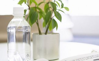 上班族必知的幾種職場風(fēng)水