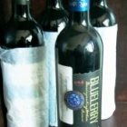 北極泉高山藍(lán)莓酒 源自大興安嶺的野生精華，青島匠心釀造的琥珀佳釀